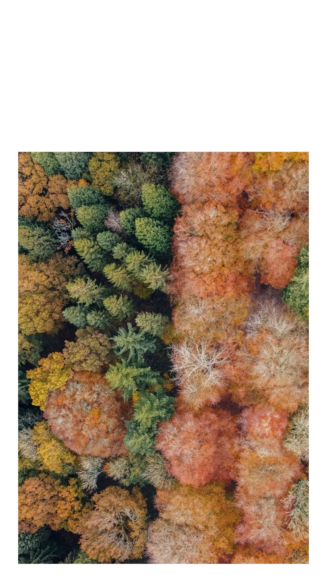 Arriba en las montañas