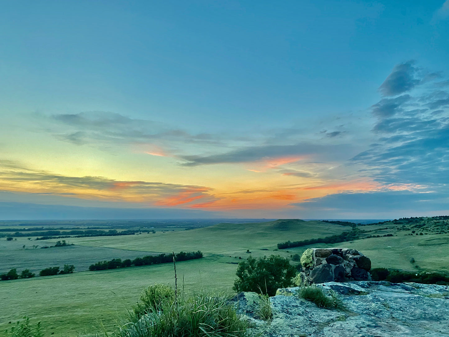 Perdido en la naturaleza