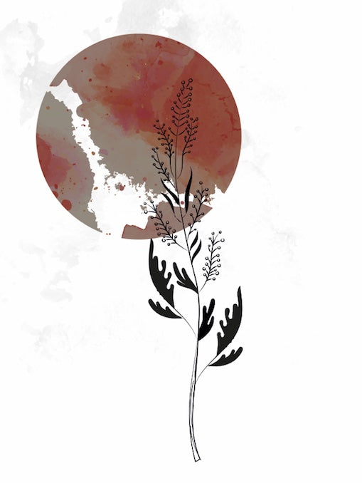 Plantas