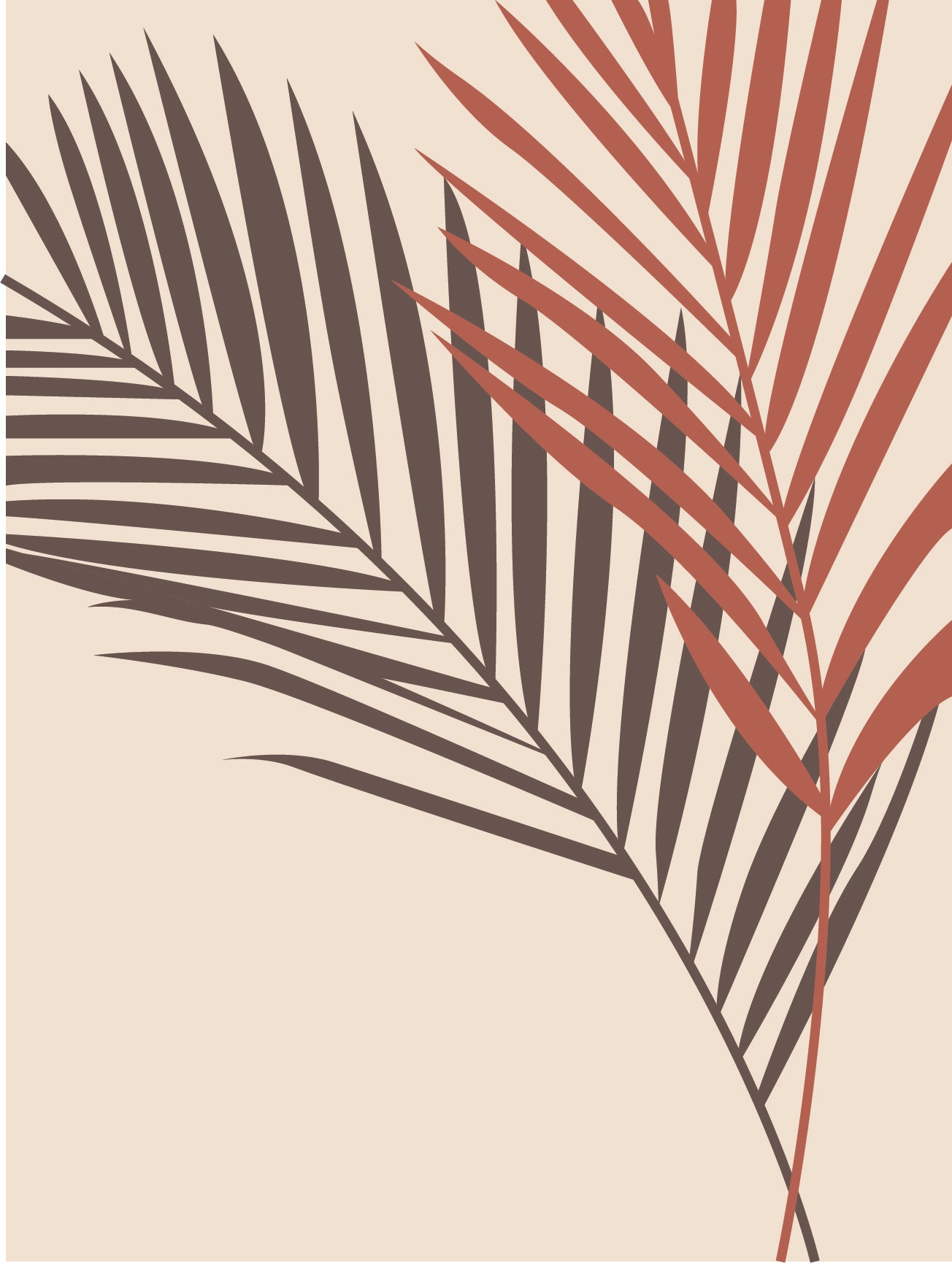 Palm Leaves